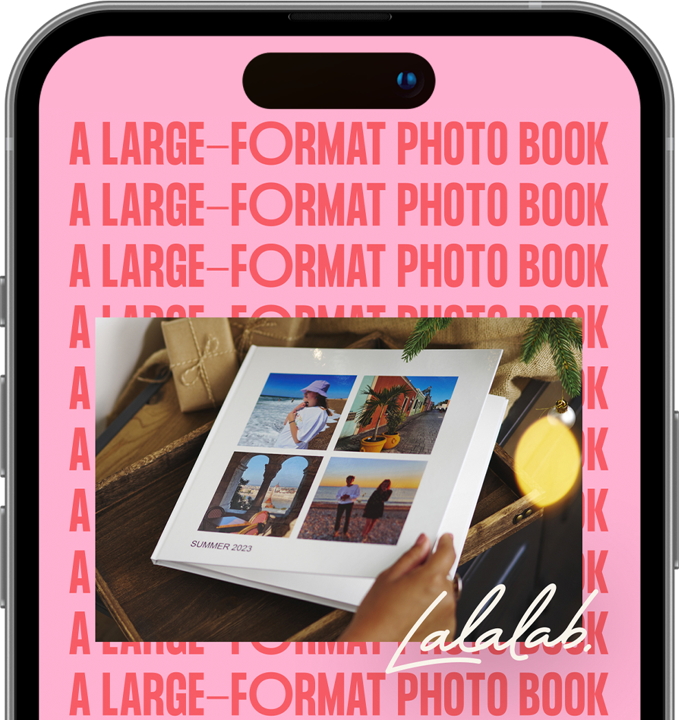 Lalalab D passe Les Objectifs De ROAS Lalalab D passe Les Objectifs De ROAS