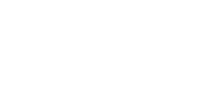 airbridge