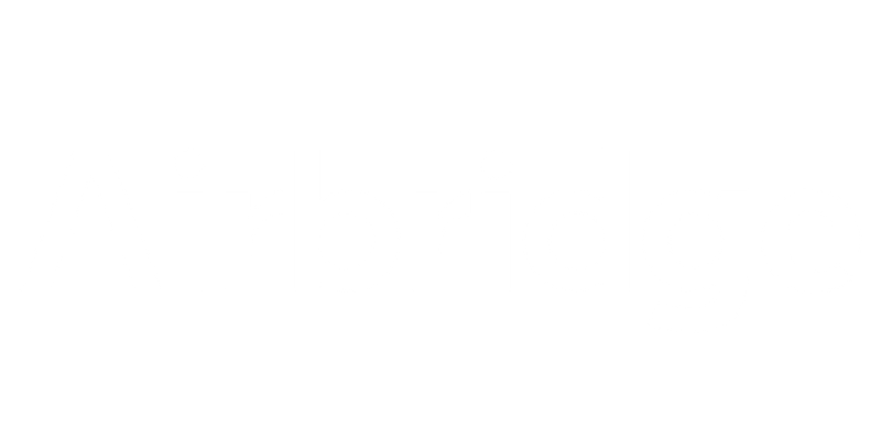 airbridge